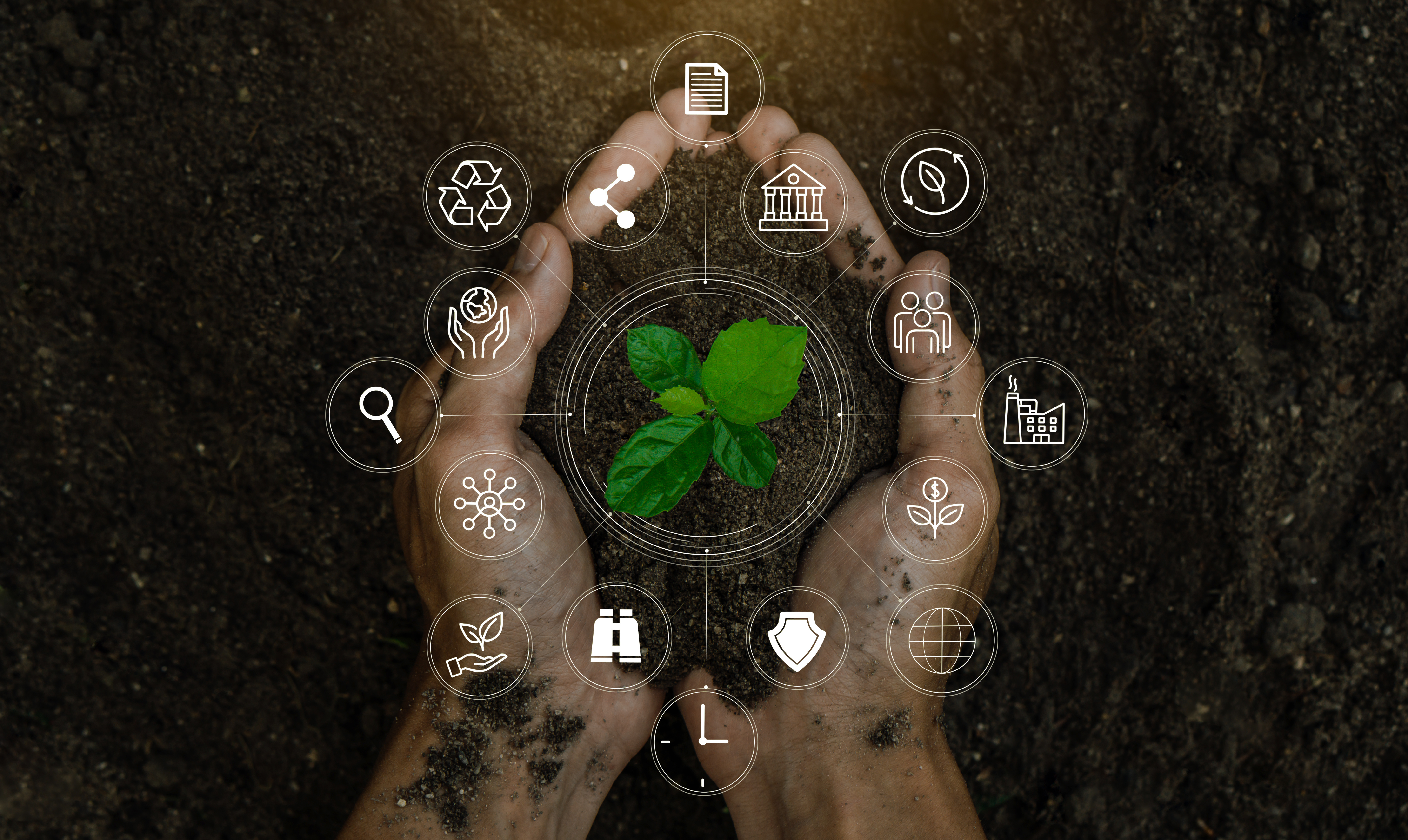 AdobeStock_474620175